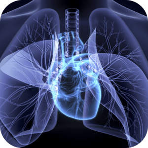 Ultromics granted FDA Breakthrough Device Designation for AI-enhanced Cardiac Amyloidosis detection