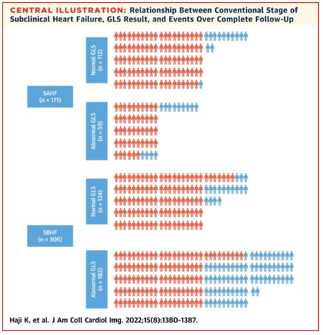 Left ventricular global longitudinal strain (GLS) in a chronic