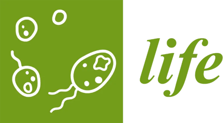 Life-high-res-900-px
