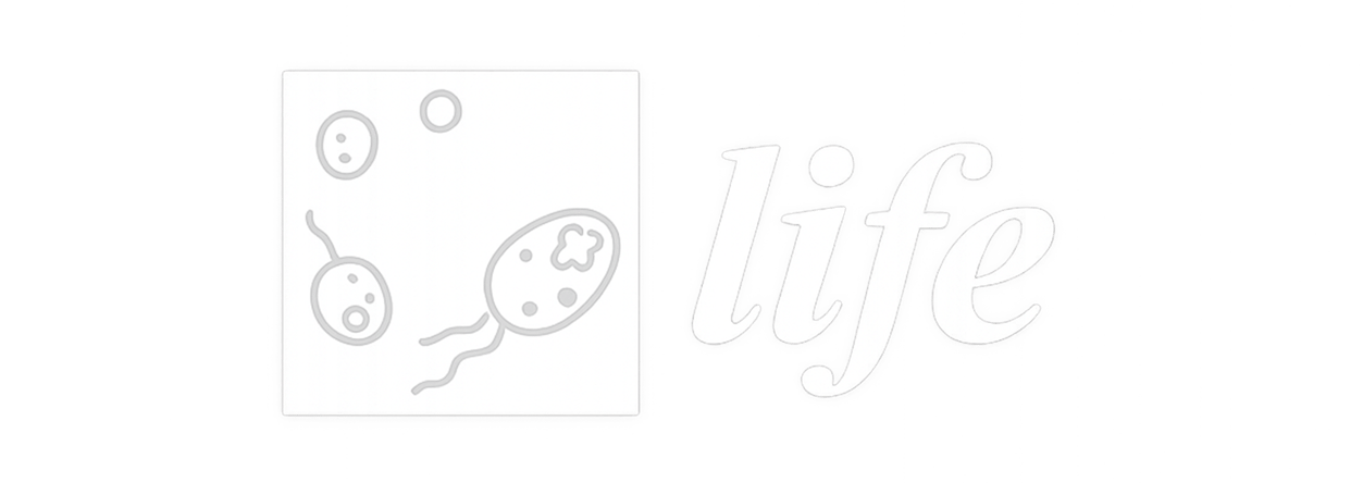 Life-journal-june