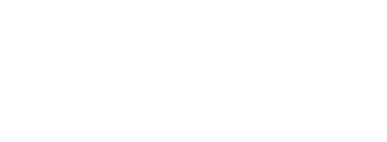 Sectra-white