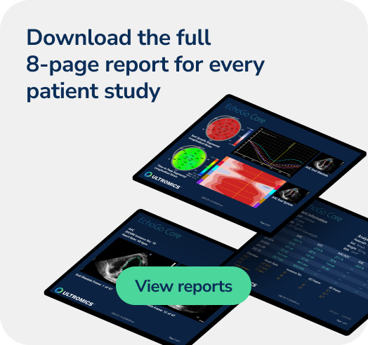 Download the full report