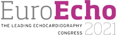 euro echo 2021 logo