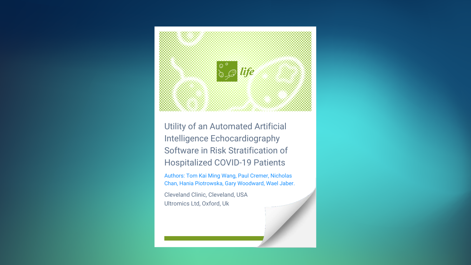 Utility of an Automated Artificial Intelligence Echocardiography Software in Risk Stratification of Hospitalized COVID-19 Patients