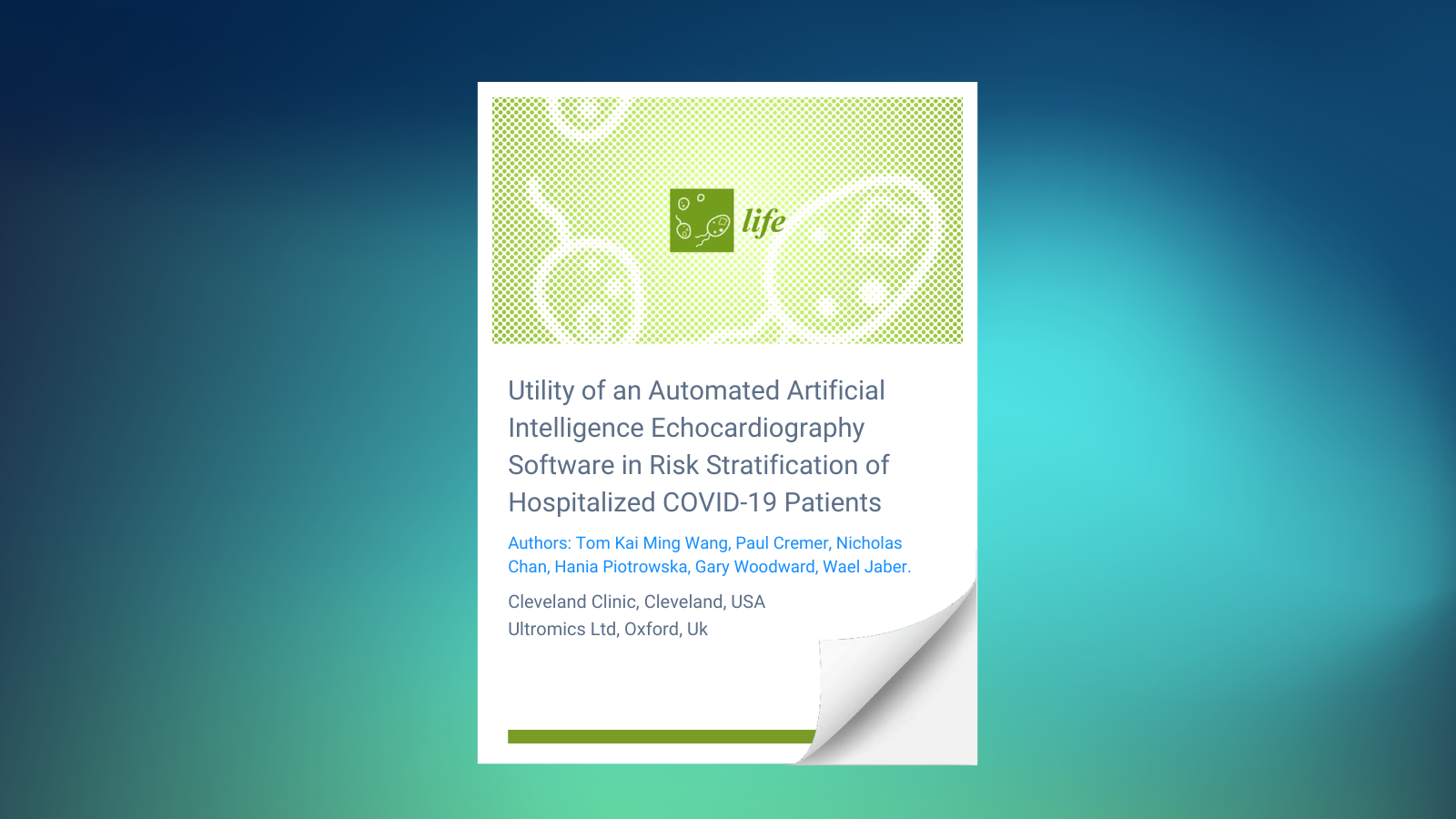 Utility of an automated AI-based echocardiography software in risk stratification of hospitalized COVID-19 patients