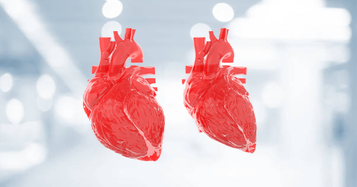 Cellular and molecular differences between HFpEF and HFrEF