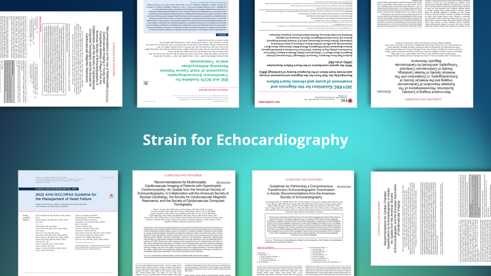 The value of strain in echocardiography: what the guidelines say