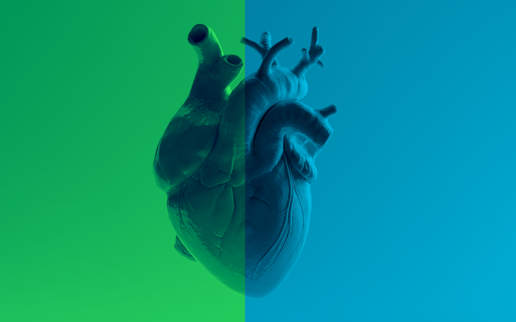 Animal Models Of Heart Failure With Preserved Ejection Fraction at ...