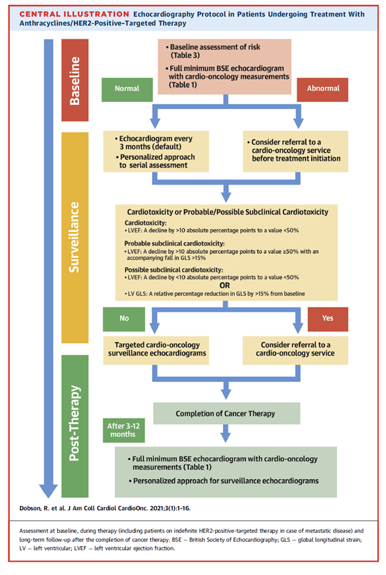 An illustration of Echocardiography protocol in patients undergoing treatment with anthracyclines/HER2-positive-targeted therapy